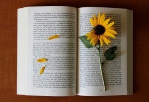 sunflower book